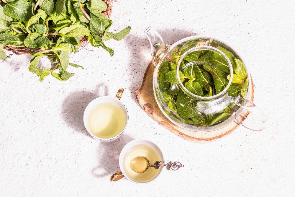 10 Best Flavorful Green Tea to Drink Review!