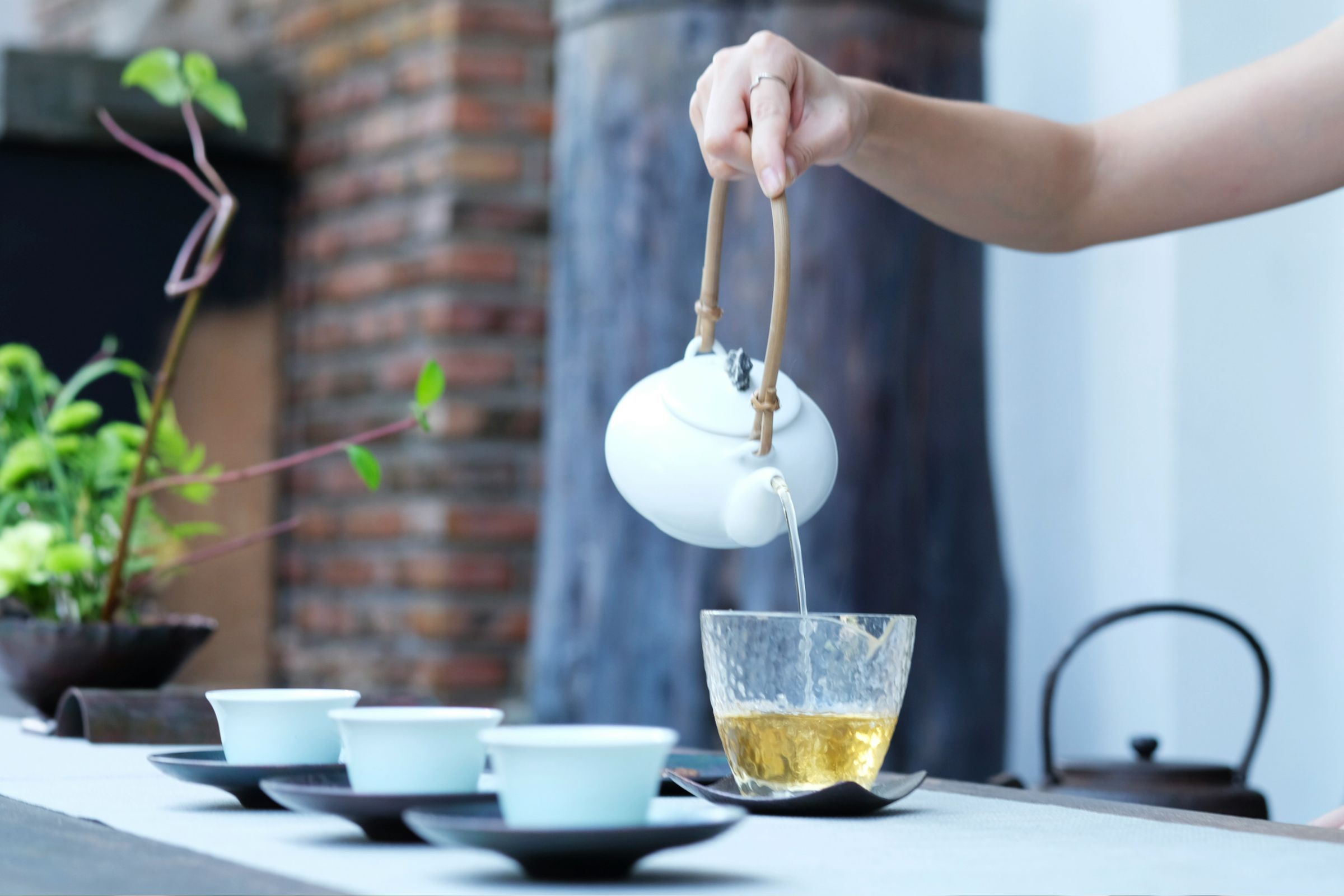 Best Green Tea For Weight Loss Review!