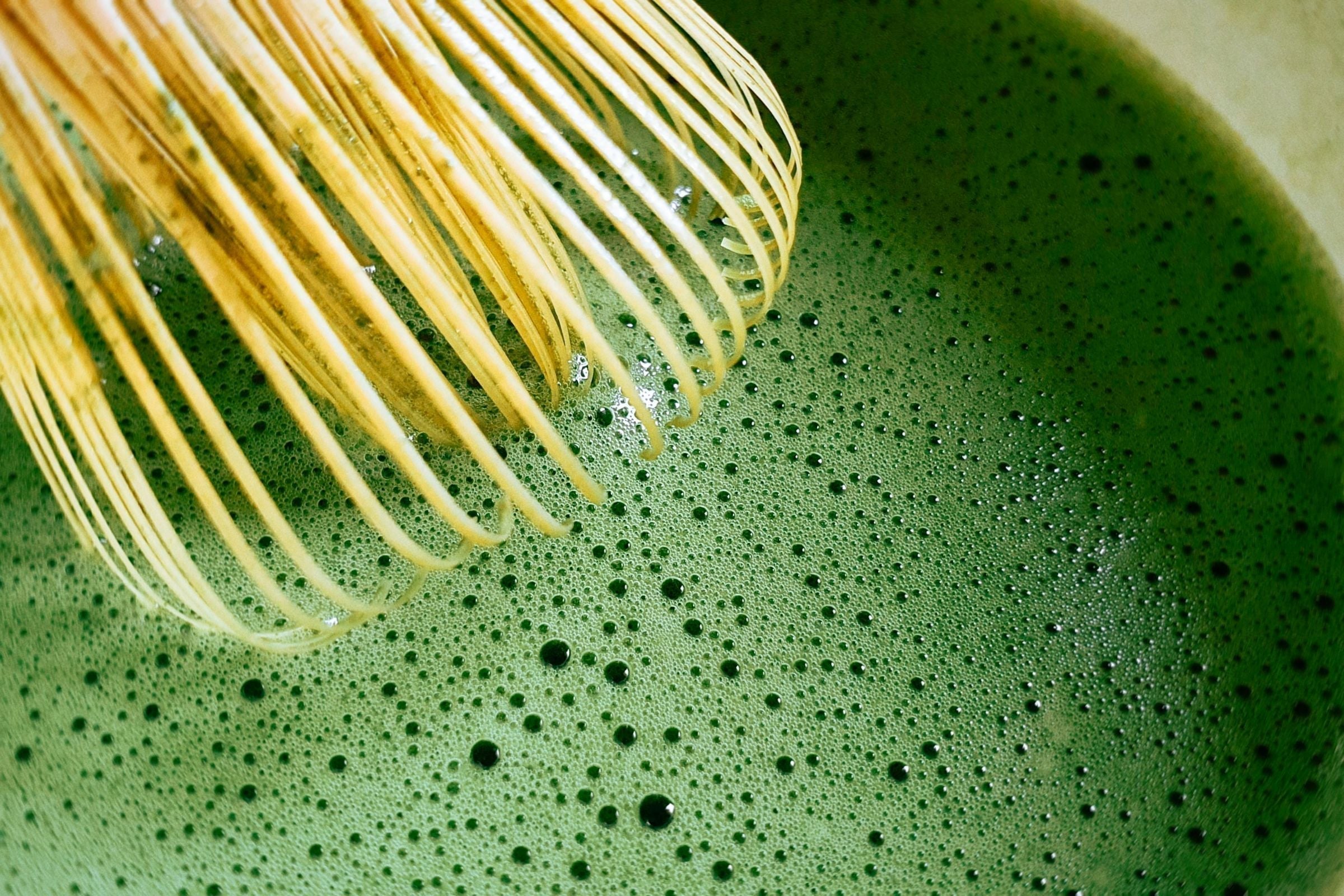 10 Different Mushroom Matcha Review!