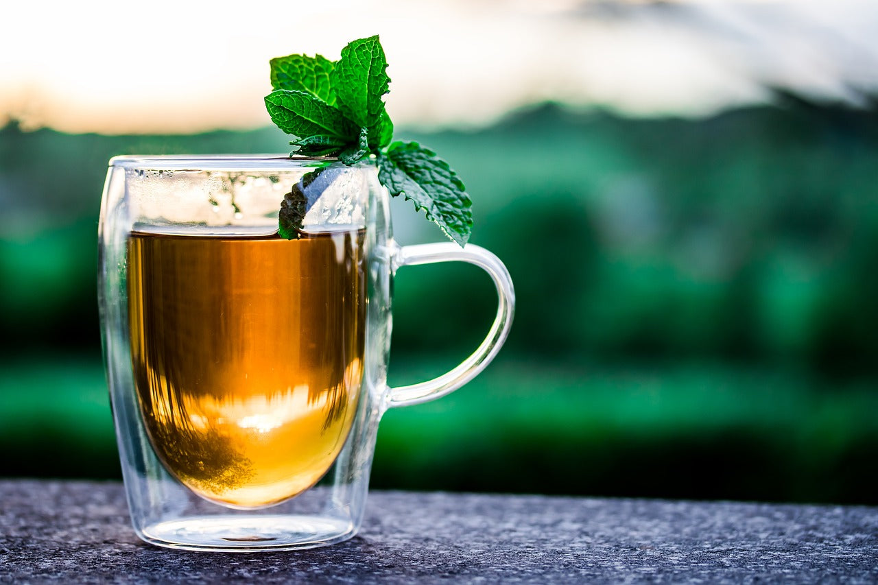 10 Best Mint Green Tea Review!