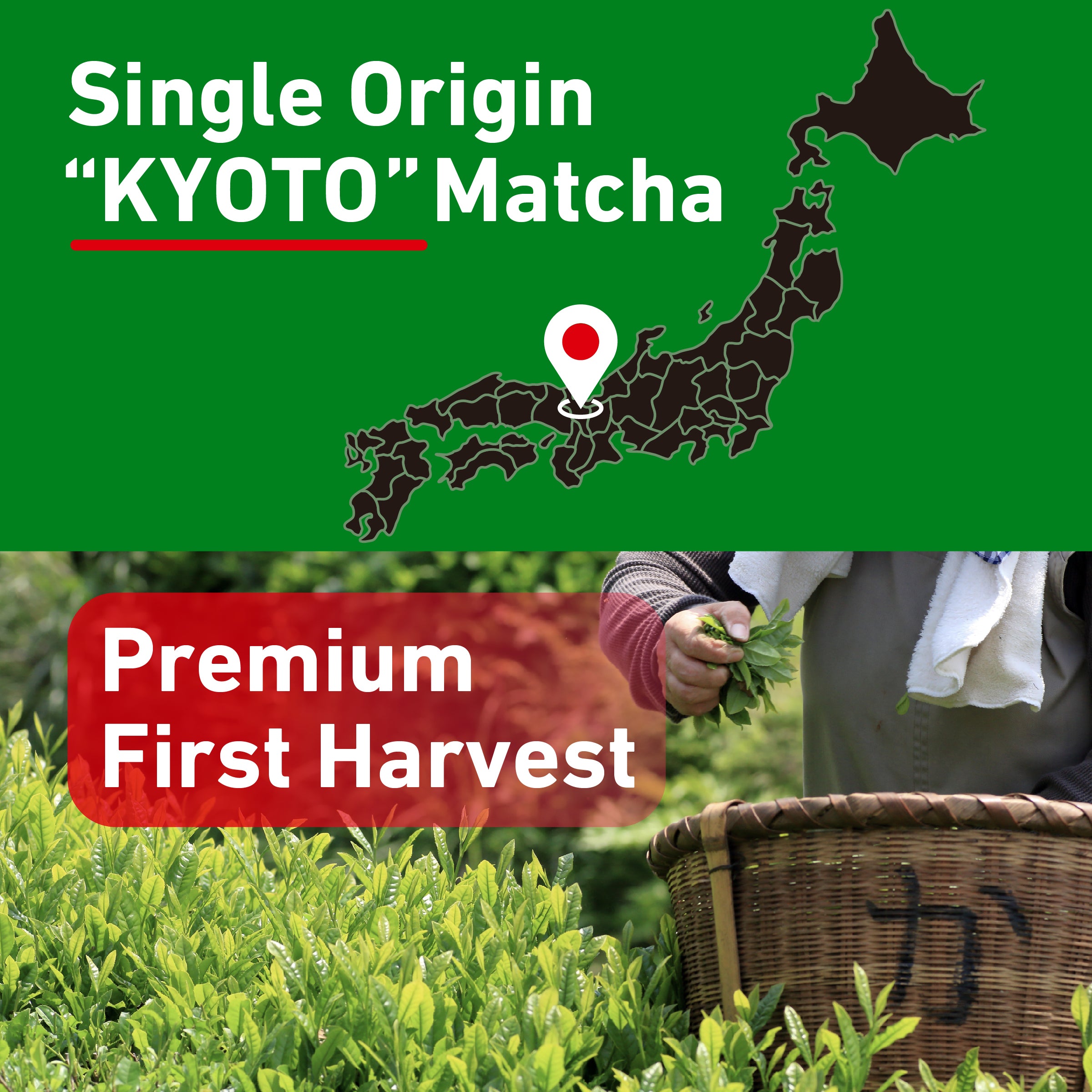 Super Ceremonial Grade Matcha (Kyoto)