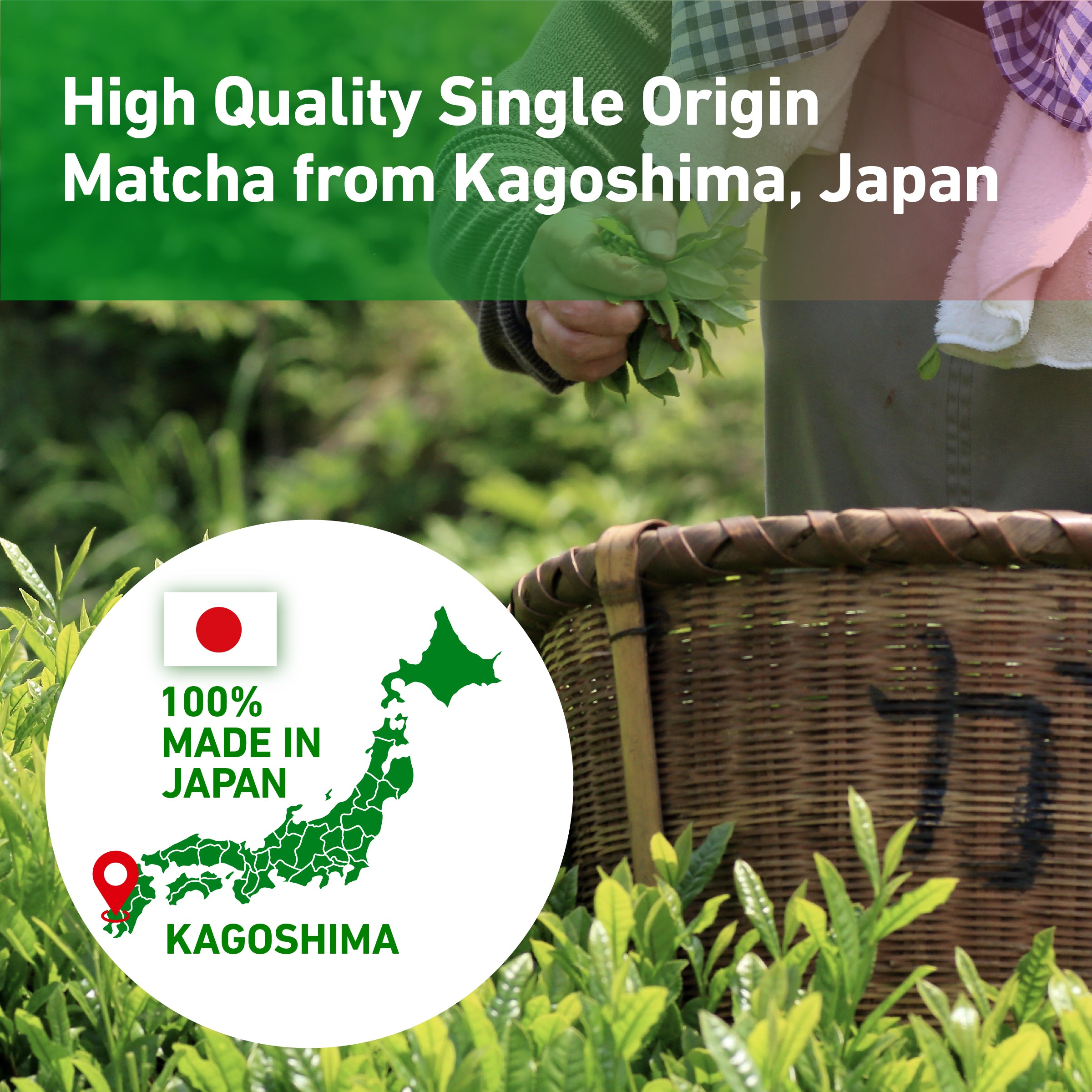Rich Matcha